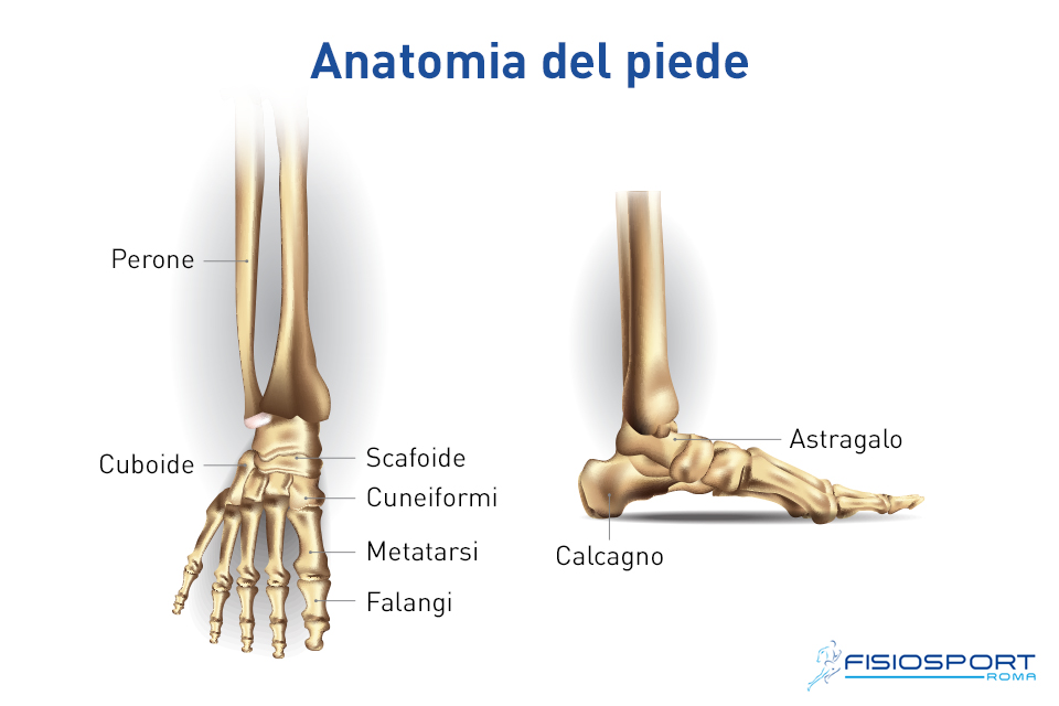 Piedi e caviglie